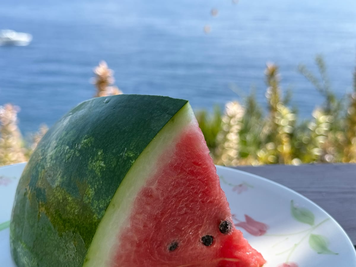Una fetta di anguria su un piatto, con il mare sullo sfondo
