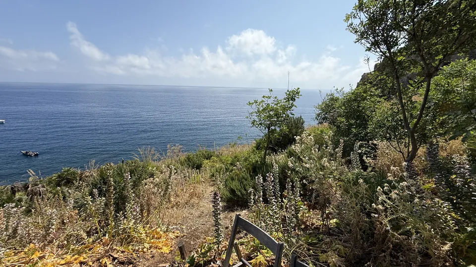 Sentiero e macchia mediterranea affacciati sul mare dello Zingaro